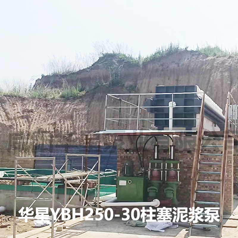 壓濾機入料泵適用于什么行業